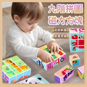 台灣現貨🧸磁力拼圖 六面體拼圖 磁性六面體拼圖 磁性拼圖 磁鐵拼圖 兒童拼圖 拼圖 早教玩具 益智玩具 拼圖 拼圖玩具