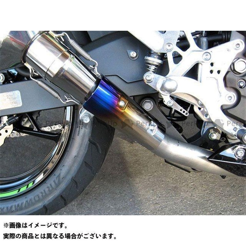 正規品／ビートジャパン ニンジャ250 NASSERT Evolution Type II