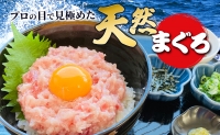 天然まぐろのネギトロ 1.5kg (100g×15P) 鮪 まぐろ ねぎとろ ねぎトロ 冷凍 小分け 便利 セット パック