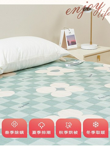 {可打統編 保固一年}彩虹電熱毯雙人雙控彩虹生活電動床墊單人宿舍定時除螨家居安全防水