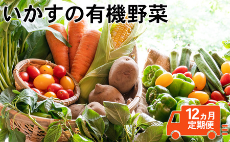 いかすの有機野菜1年分（月1回10品お届け12回分）