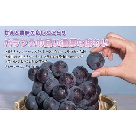 ふるさと納税 ぶどう 2024年 先行予約 ニュー ピオーネ 大粒 大房 1房 650g以上 ブドウ 葡萄 岡山県 赤磐市産 国産 フルーツ 果物 ギフト 赤坂青.. 岡山県赤磐市