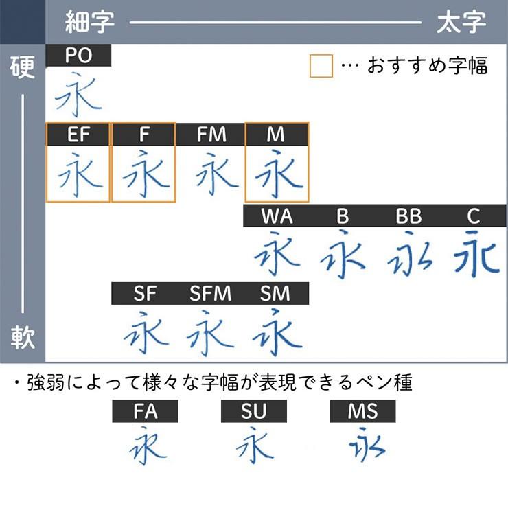 パイロット ノック式万年筆 キャップレスデシモ 限定カラー15色から選択 FCTL-2MR 細字(F) PILOT シルバー ダークグレー パープル