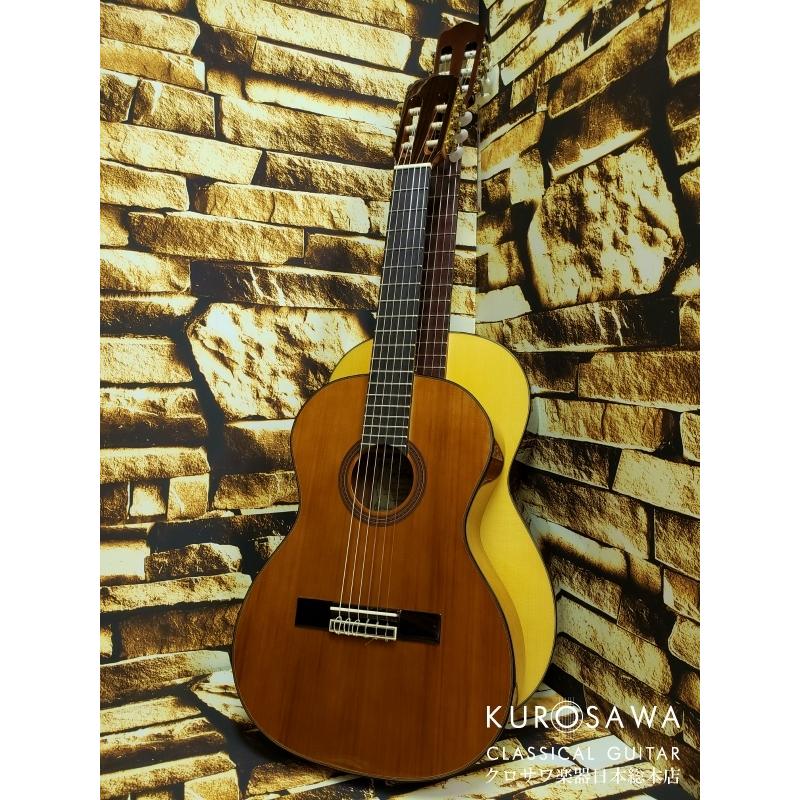 ARIA アリア A20-53 ミニギター
