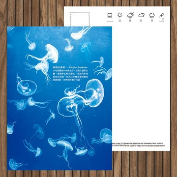 No.C17臺灣離島明信片 / 澎湖水族館水母 / 任選買10送1