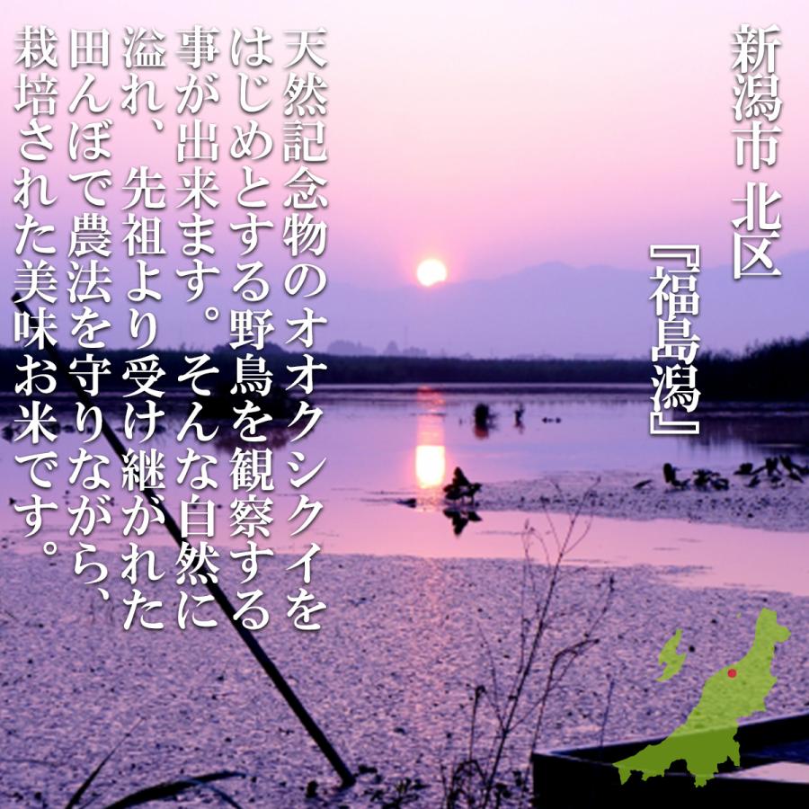 令和５年産 新潟米 もち米 新潟産こがねもち 精米１kg