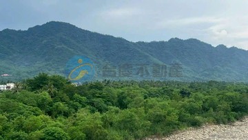 旗山區大坪數臨路農地近杉林區月眉｜高雄市旗山區大林段