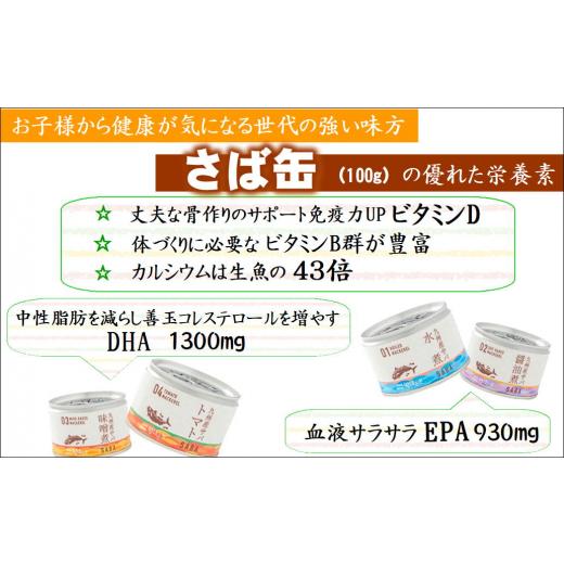ふるさと納税 長崎県 松浦市 さば缶「旬ほとぎ」選べる12缶×3箱 さば サバ 鯖 缶詰 サバ缶 さば缶 鯖缶 水煮 醤…