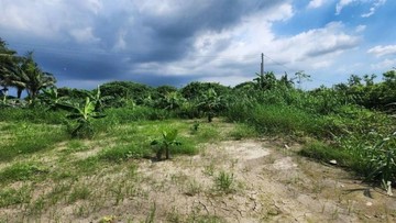 屏東九如鄉2.65分有水電渡假休閒美農地｜屏東縣九如鄉大坵段