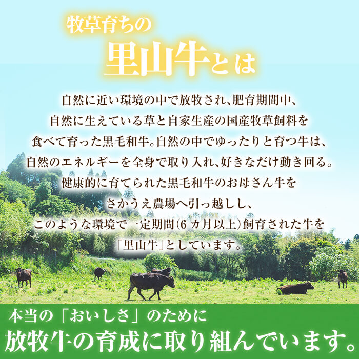 牧草育ちの里山牛 すき焼き用ロース 計800g c5-014