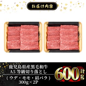 a855 ≪A5等級≫鹿児島県産黒毛和牛切り落とし計600g(300g×2P)