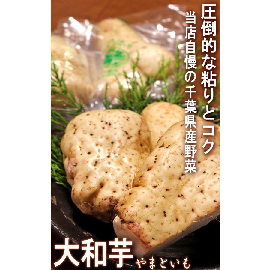 大和芋 やまといも 千葉県産 約4kg 10〜15本 国産野菜 当店一押し商品！ 長芋を超える圧倒的な粘り！ とろろ蕎麦やご飯に最適なヤマイモ