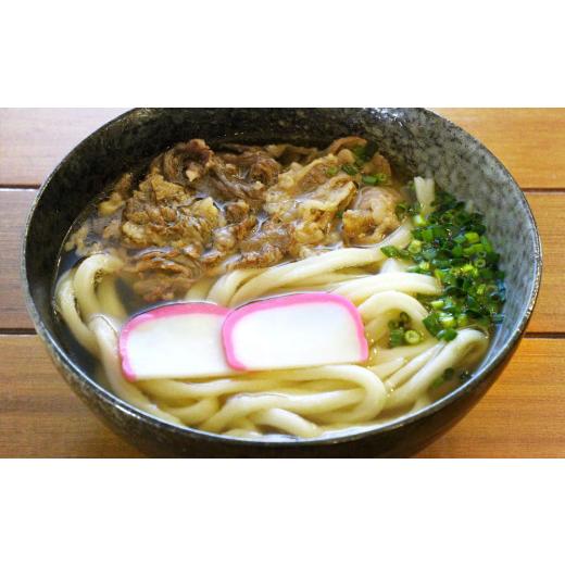 ふるさと納税 千葉県 鴨川市 本格手打ちうどん(冷凍)　約3kg（16人前）[0010-0266]