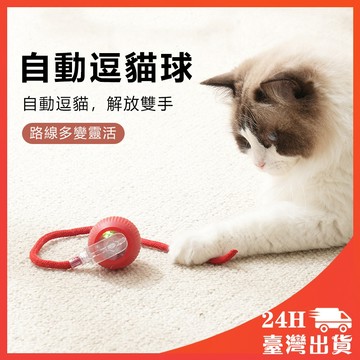 現貨🔥自動逗貓球 貓玩具球 逗貓球 逗狗球 智能逗貓球 逗貓玩具 貓咪玩具 狗狗玩具 電動逗貓球 自動逗貓球 寵物玩具