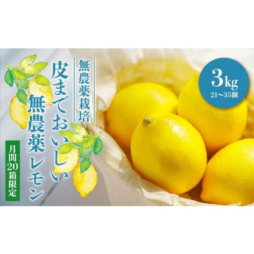 ふるさと納税 広島県 尾道市 皮まで美味しい無農薬レモン 約3kg