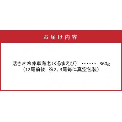 ふるさと納税 国東市 鮮度抜群!活き〆冷凍車海老(360g)_29100A