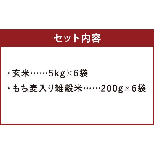 ふるさと納税 熊本県 菊池市 熊本県菊池産 ヒノヒカリ 玄米 計30kg(5kg×6回) もち麦入り雑穀米 計1.2kg(200g×6回) 米 お米 残留農薬ゼロ 低…