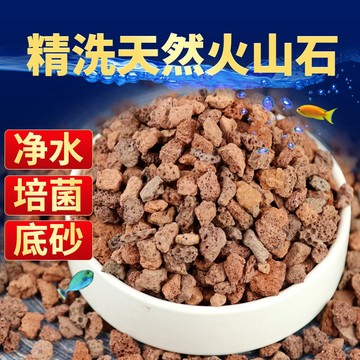火山石多孔隙天然濾材 培養消化細菌 魚缸過濾 水族濾材 魚缸造景 水族造景 魚缸 園藝