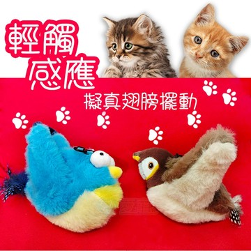 🦅抖抖互動玩具🦅貓咪玩具 寵物用品 互動玩具 造型玩具 抖抖鳥