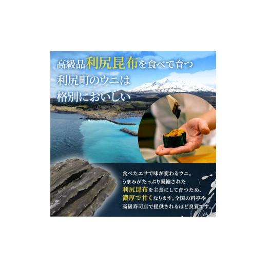 ふるさと納税 北海道 利尻町 北海道 利尻 島産生うに塩水パック80g（蝦夷 バフンウニ）［2024年6月発送開始先行受付］ウニ 塩水ウニ