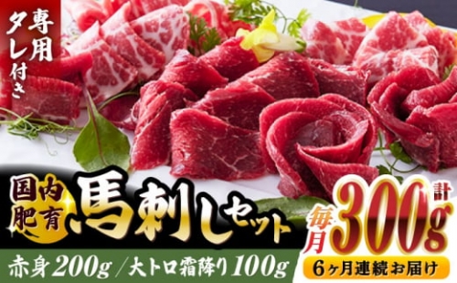 国内肥育 馬刺し 大トロ霜降り赤身セット 計300g 大トロ霜降り 100g 赤身 200g 専用タレ付き 熊本 山都町 冷凍 馬肉 馬刺 ヘルシー 小分け[YAK030] 120000 120,000 120000円 120,000円 12万円