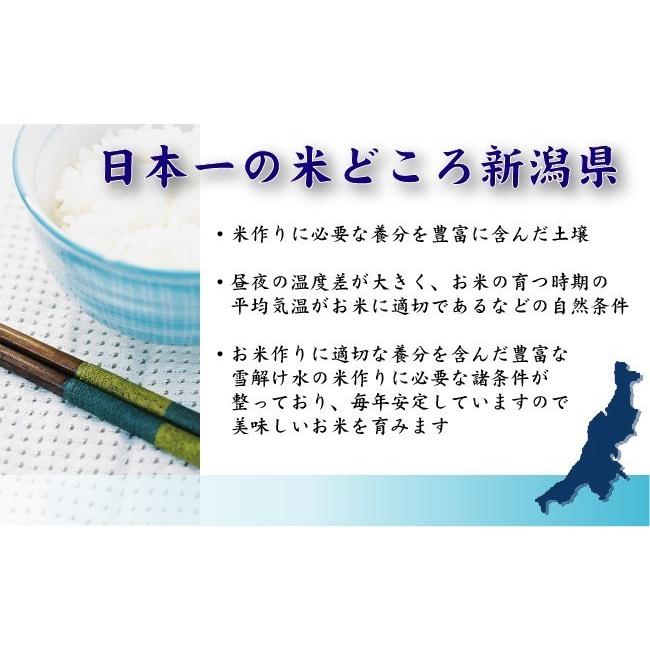 ポイント5倍 無洗米 新潟県産コシヒカリ 2合(300g) ×10袋 宅配便送料込み 令和5年産 米 食品（SL）