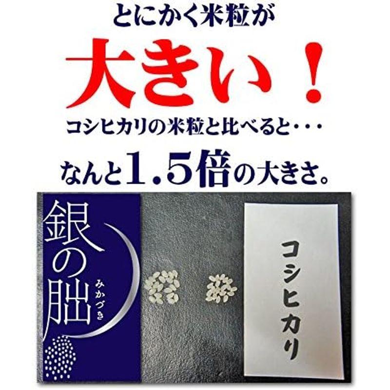 精米 銀の朏 ぎんのみかづき 岐阜県飛騨産 特別栽培 令和4年産 (2kg)