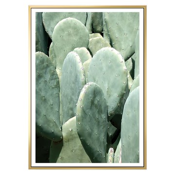 叢叢多肉小鮮綠I  59.4 x 42cm  金色