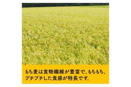 令和5年産 もち麦 2.5kg（500g×5袋）