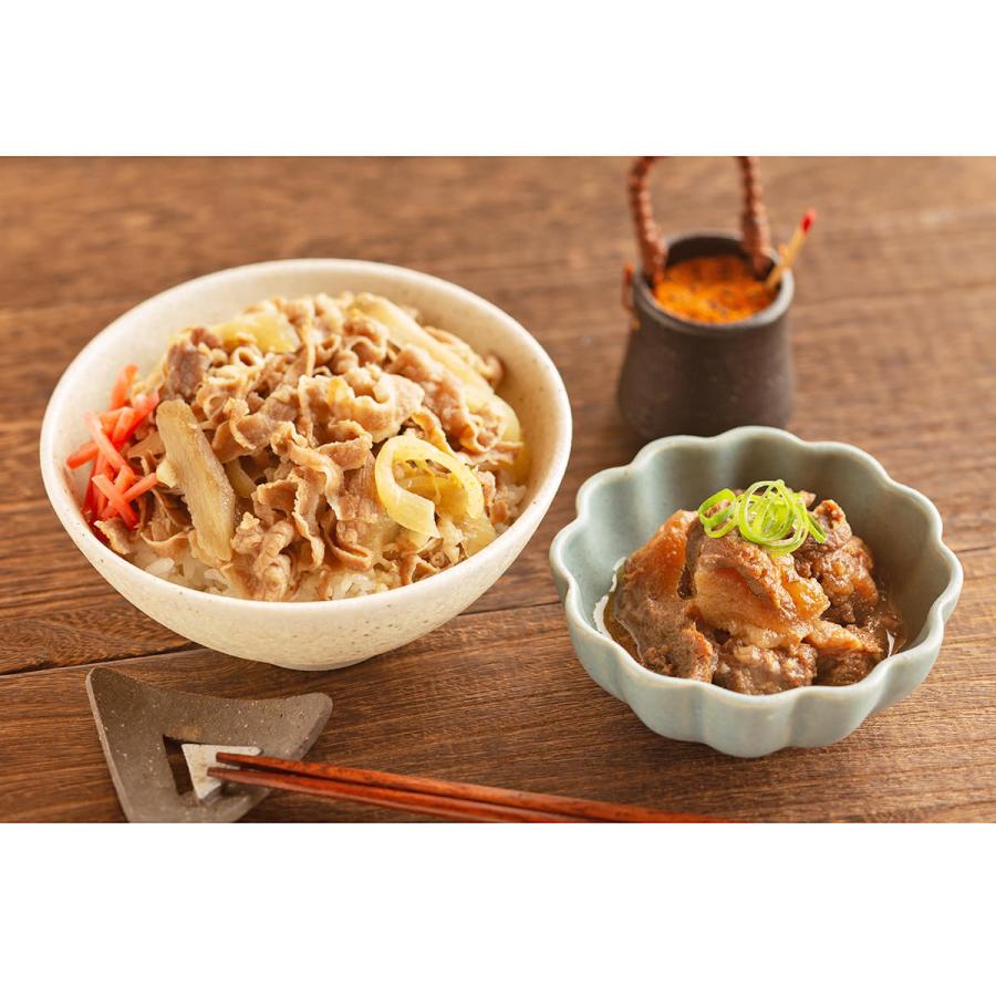 寺田繁監修 国産牛の牛丼と牛すじ煮込み 2種 詰合せ 惣菜 牛丼 牛丼の具 冷凍 牛すじ煮込み 簡単 大阪 日本料理寺田 