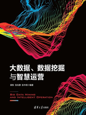 【電子書】大数据、数据挖掘与智慧运营