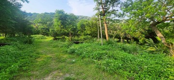 湖口8米路一般農｜新竹縣湖口鄉北安段