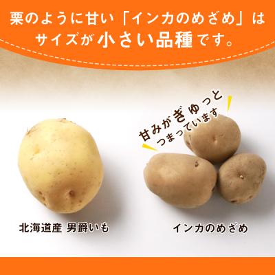 ふるさと納税 千歳市 越冬インカのめざめ混合(S〜2L混合)約15kg