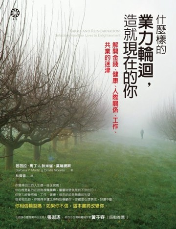 什麼樣的業力輪迴，造就現在的你：解開金錢、健康、人際關係、工【二手書_普通】TAAZE讀冊生活