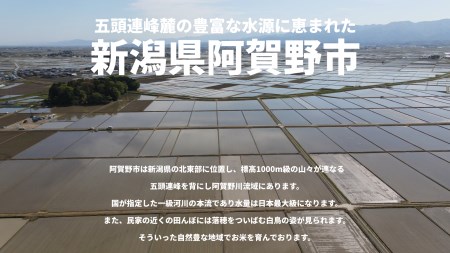 米杜氏 新潟県阿賀野市産 特別栽培米コシヒカリ5kg×5回 1H04048