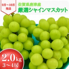 シャインマスカット 2kg 佐賀県唐津産〈先行受付〉2024年9月中旬より順次発送