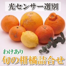 家庭用旬の柑橘詰合せ5kg 150g(傷み補償分)