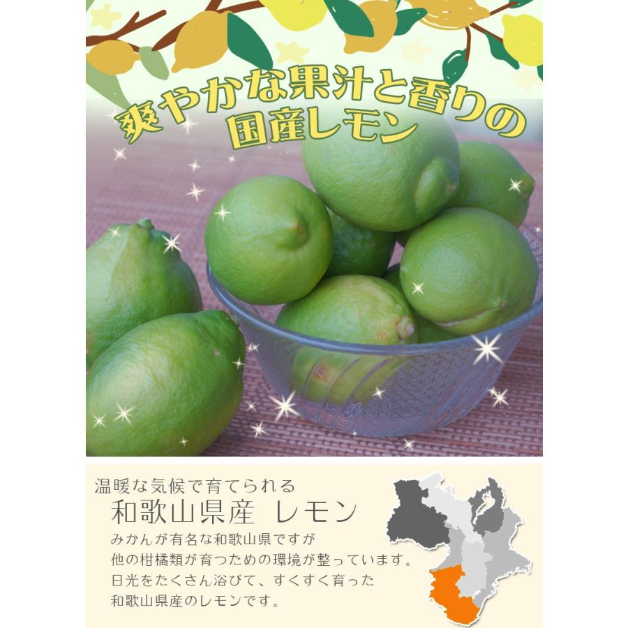 レモン 5kg（箱込約5kg）国産 訳あり・ご家庭用 送料無料（東北・北海道・沖縄県除く）（配達日指定不可）