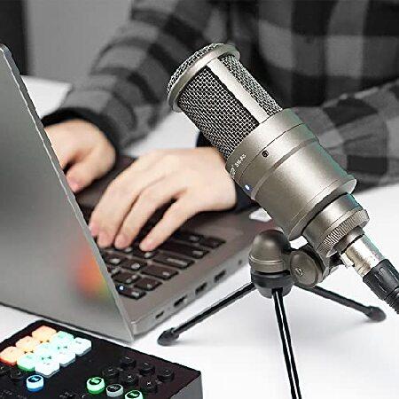 TAKSTAR Studio Microphone Recording Microphone, XLR Condenser Microphone with Windproof Sponge for Vocals Recording, Dubbing, Live-Streaming, Broadcas