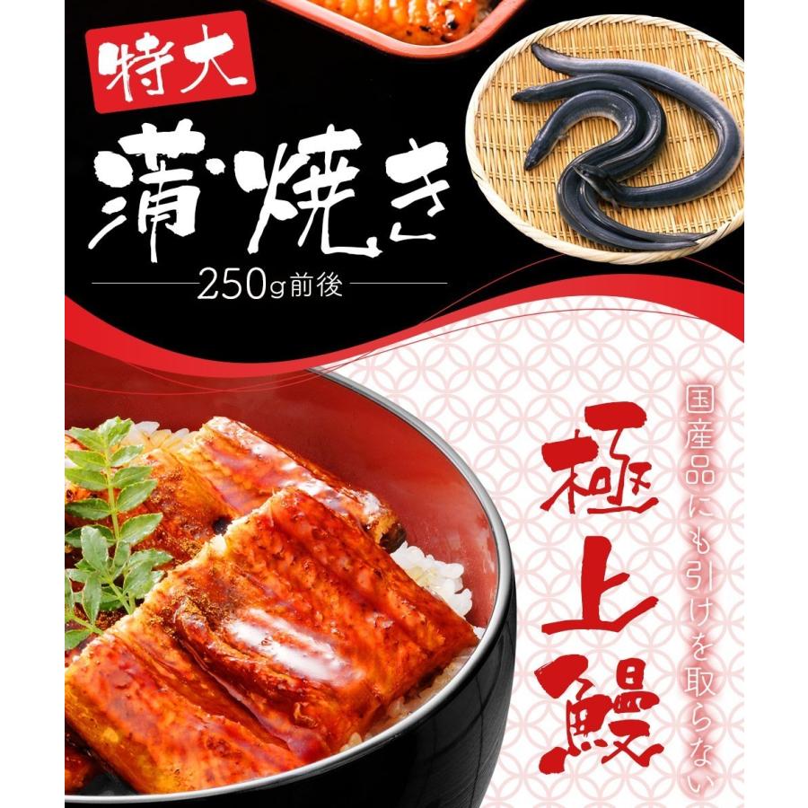 国産ではございませんがふっくら柔らか うなぎ蒲焼き 肉厚 超特大 五尾セット 250g前後×5パック ウナギ 鰻 訳15人前 たれと山椒付き 土用 丑の日 訳あり