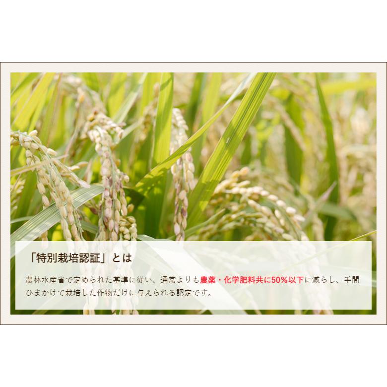 新潟産 特別栽培米（減農薬・減化学肥料）コシヒカリ 無洗米2kg 徳永農園 送料無料