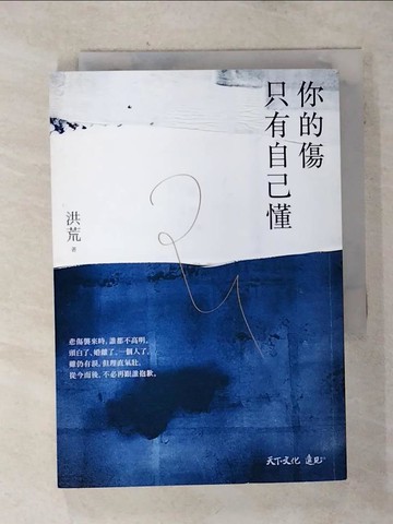 【書寶二手書T1／短篇_AIB】你的傷只有自己懂_洪荒