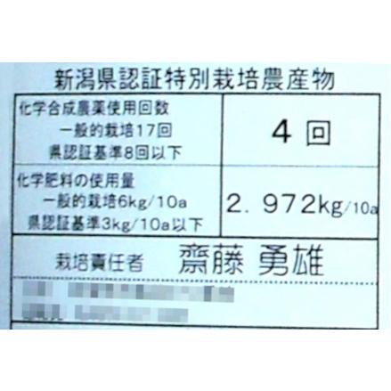 ふるさと納税 特別栽培米 コシヒカリ 10kg×10回 新潟県認証  1G03200 新潟県阿賀野市