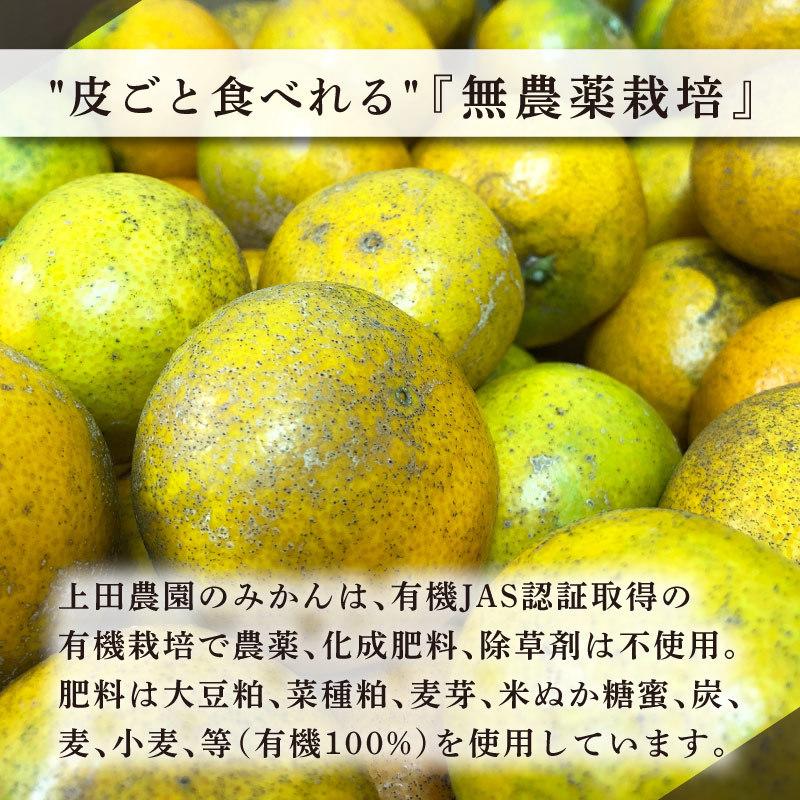 ドライフルーツ 国産 みかん 愛媛 25g 3袋セット 合計75g 無添加 小分け うえださん家の有機みかん お試し 食べきりサイズ ドライみかん 柑橘 皮ごと