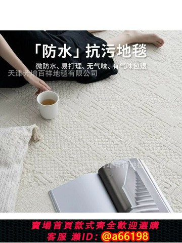 【台灣公司 可開發票】客廳地毯2024新款極簡高級設計感奶油風防水高端別墅家用隔音減震