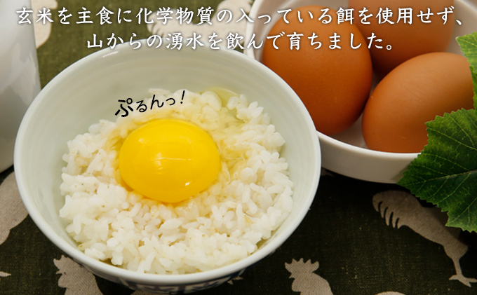 北海道 豊浦 おふけしの平飼い卵 48個