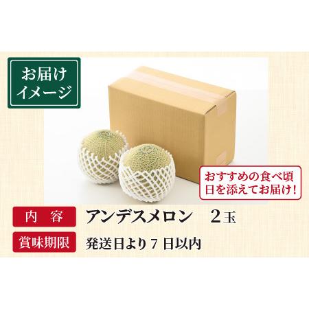 ふるさと納税 アンデスメロン 2玉 （約1.2kg以上×2玉）青肉品種 安定の旨さ！大衆メロンの王様！ ／ 果物 フルーツ ギフト .. 福井県あわら市