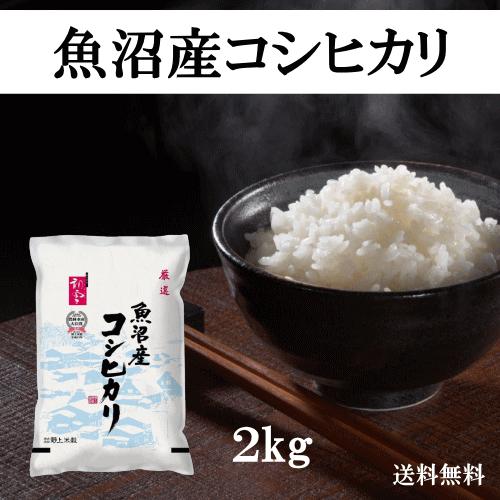 送料無料 令和５年産 魚沼産コシヒカリ 2kg おこめ 精米 新潟