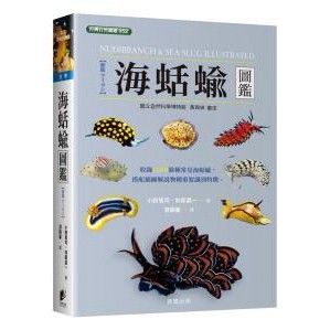 海蛞蝓圖鑑 - 海蛞蝓體色鮮豔，斑紋變化多端，有「海底的珠寶」（undersea jewels）之美譽