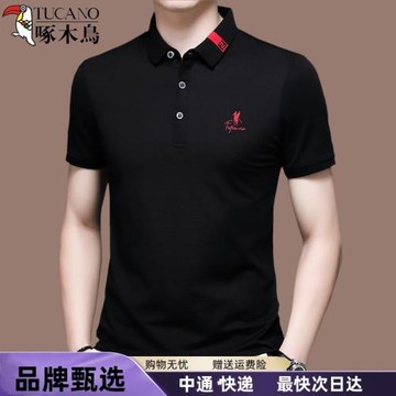 啄木鳥高端桑蠶絲短袖t恤男夏季翻領冰絲半袖polo衫潮流男裝上衣